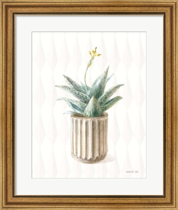 Framed Desert Greenhouse XX Print