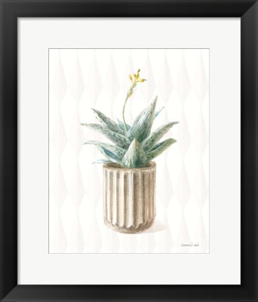 Framed Desert Greenhouse XX Print