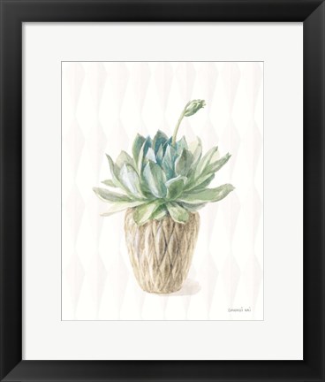 Framed Desert Greenhouse XV Print