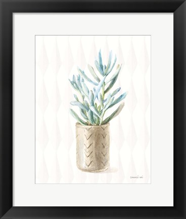 Framed Desert Greenhouse XVII Print