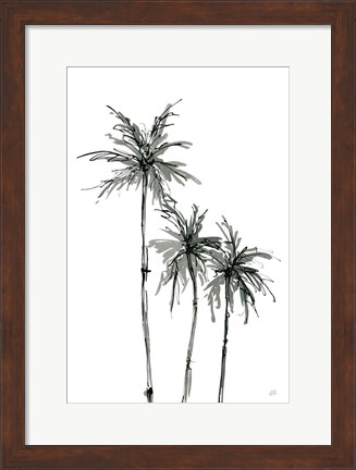 Framed Shadow Palms II Print