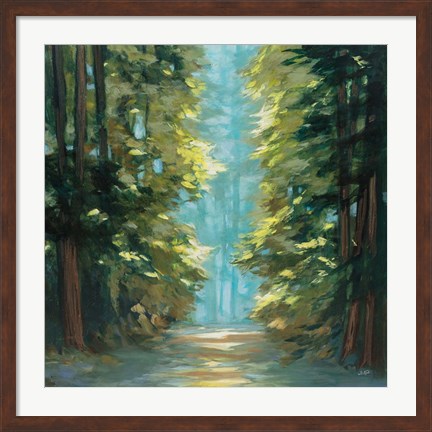 Framed Sunlit Forest Print