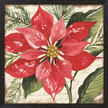 Framed Red Poinsettia Botanical Print