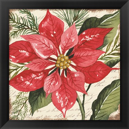 Framed Red Poinsettia Botanical Print