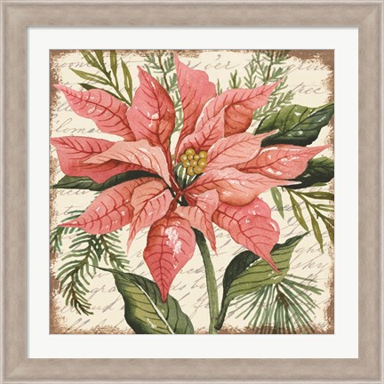 Framed Peach Poinsettia Botanical Print