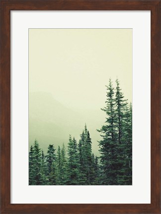 Framed Rocky Mountain 6 Print