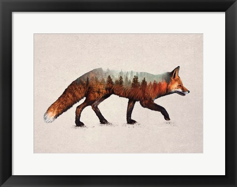 Framed Red Fox Print