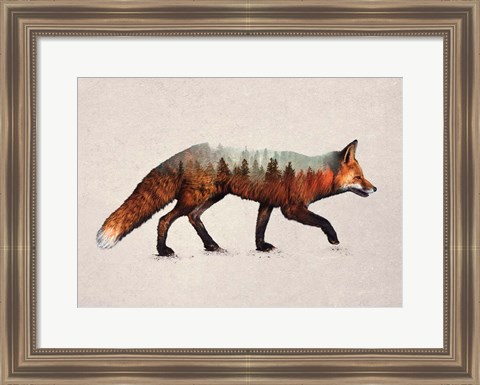 Framed Red Fox Print