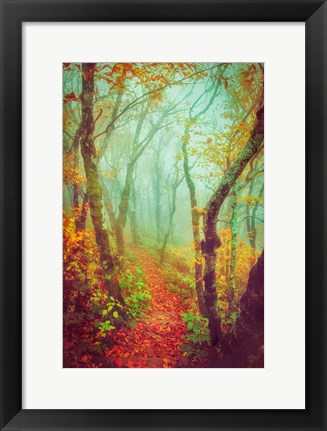 Framed Fairytale Fall Pathway Print