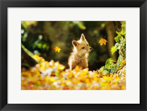 Framed Falling Leaves Fox Print