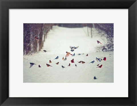 Framed Feathered Friends Birds in Snow Print