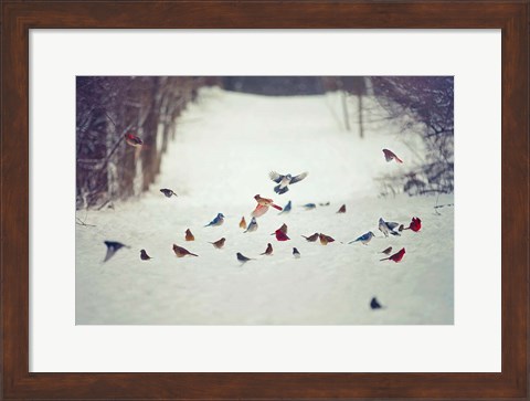 Framed Feathered Friends Birds in Snow Print