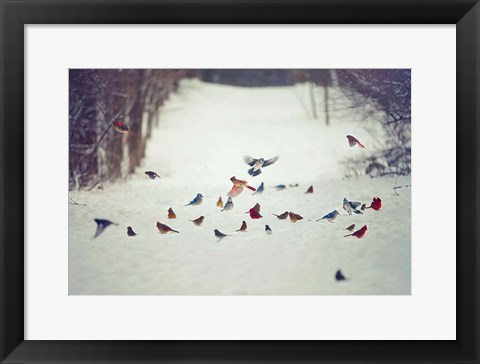 Framed Feathered Friends Birds in Snow Print