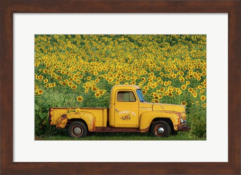 Framed Yellow Vintage Sunflower Truck Print