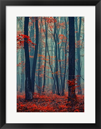 Framed Autumn Forest In The Mist Print