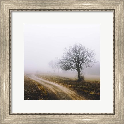 Framed Lonely Tree In The Mist Print