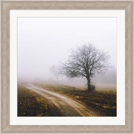 Framed Lonely Tree In The Mist Print