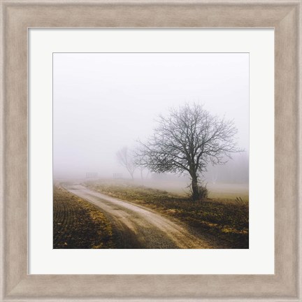 Framed Lonely Tree In The Mist Print