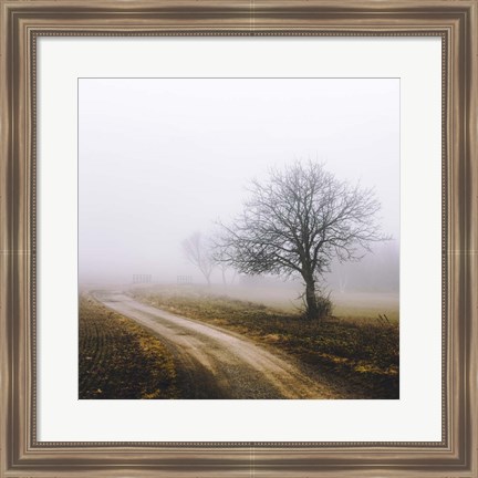 Framed Lonely Tree In The Mist Print