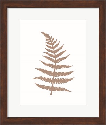 Framed Fern 2 Print