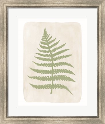 Framed Fern 3 Print