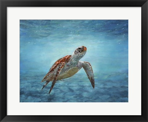 Framed Sea Turtle Print