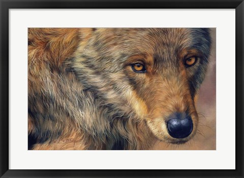 Framed Wolf Portrait Print