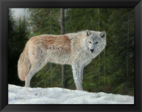 Framed Grey Wolf In Snow Print