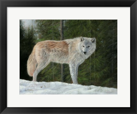 Framed Grey Wolf In Snow Print