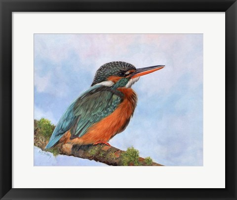 Framed Kingfisher 2 Print