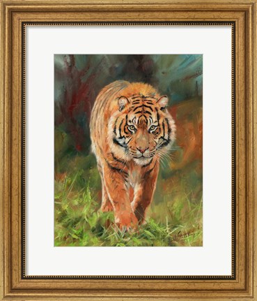 Framed Amur Tiger 2 Print