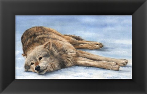 Framed Wolf Laying In Snow Print