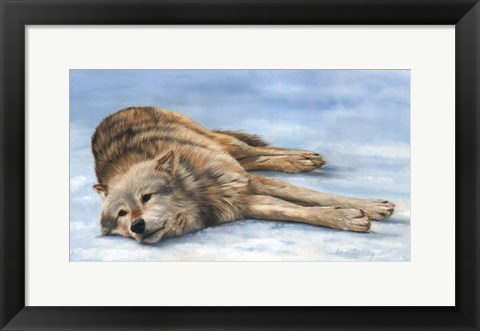 Framed Wolf Laying In Snow Print