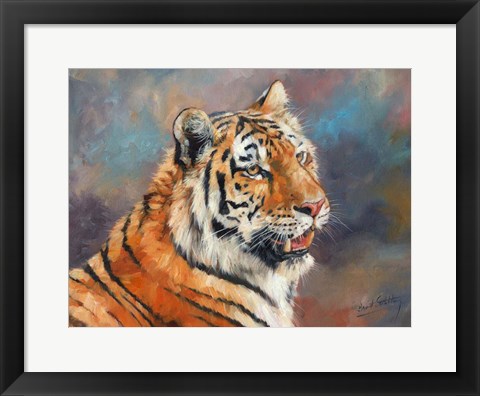 Framed Tiger On Crushed Colors Print