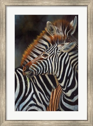 Framed Zebras Print