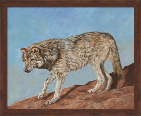 Framed Red Rock Wolf Print