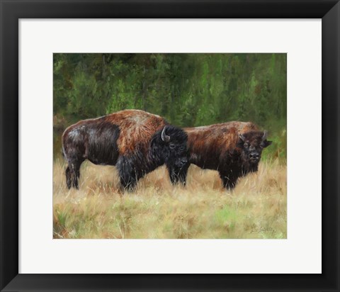 Framed Bison Pair Print