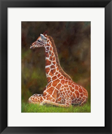 Framed Giraffe Resting Print