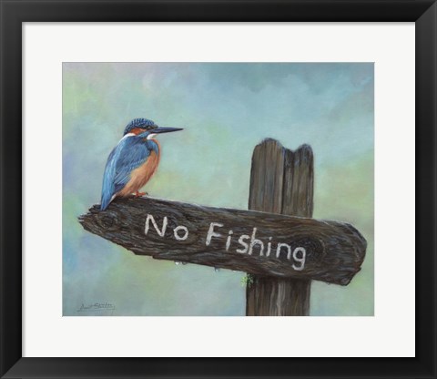 Framed Kingfisher No Fishing Print