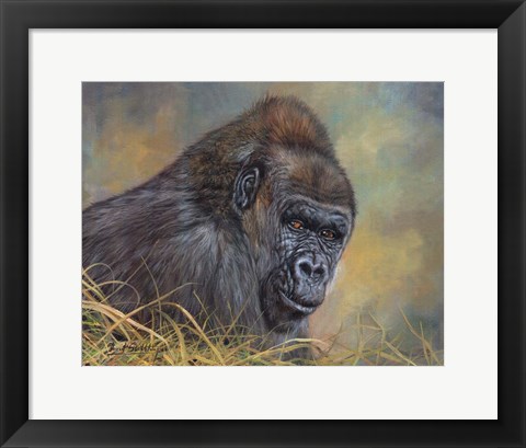 Framed Gorilla Print