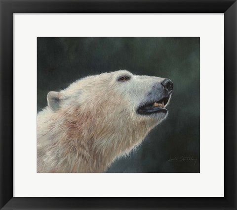 Framed Polar Bear Portrait Print