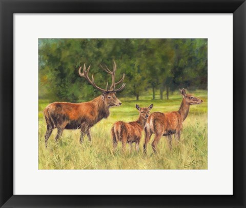 Framed Deer Family Print