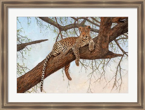 Framed Leopard In Tree Print