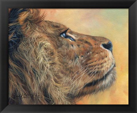 Framed Lion Profile Print