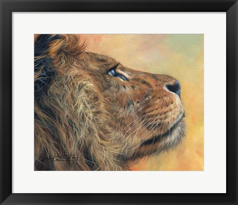 Framed Lion Profile Print