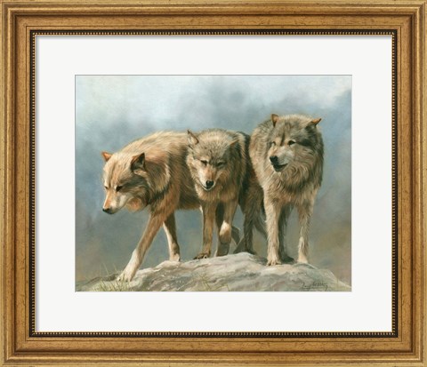 Framed Three Wolves Print