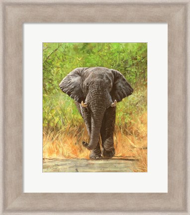 Framed Elephant Charge Print