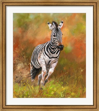 Framed Zebra Running Print