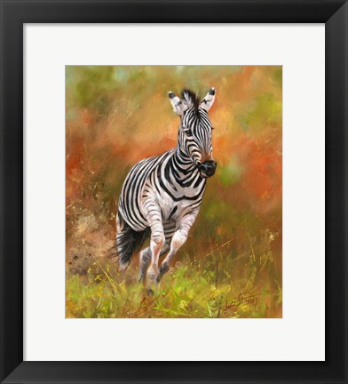 Framed Zebra Running Print