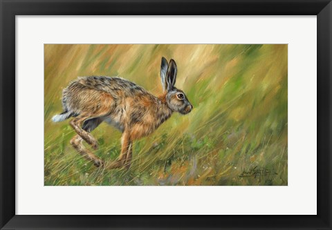 Framed Wild Hare Running Print